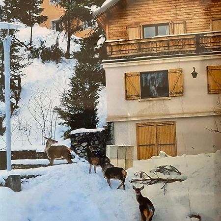 Chalet Familial Auron Luaran gambar