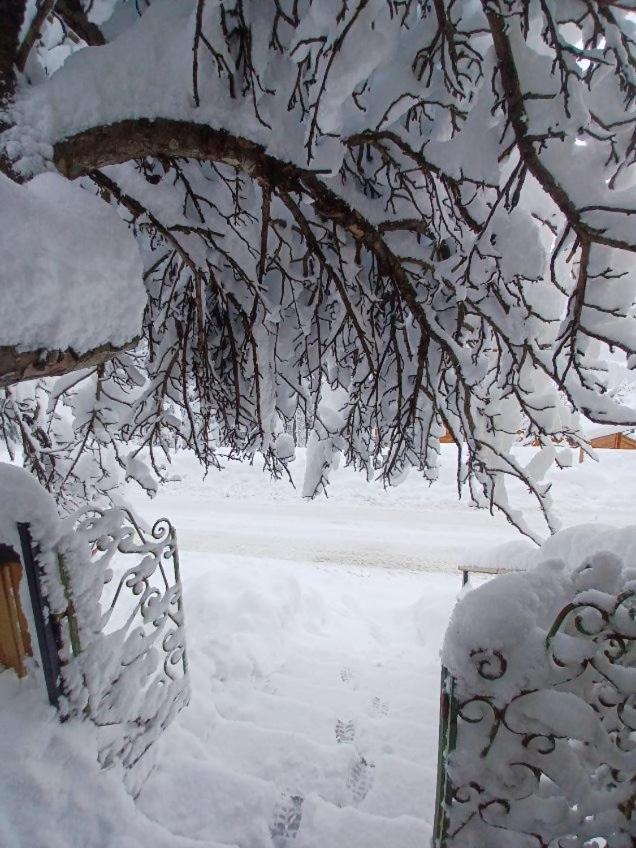 Chalet Familial Auron Luaran gambar
